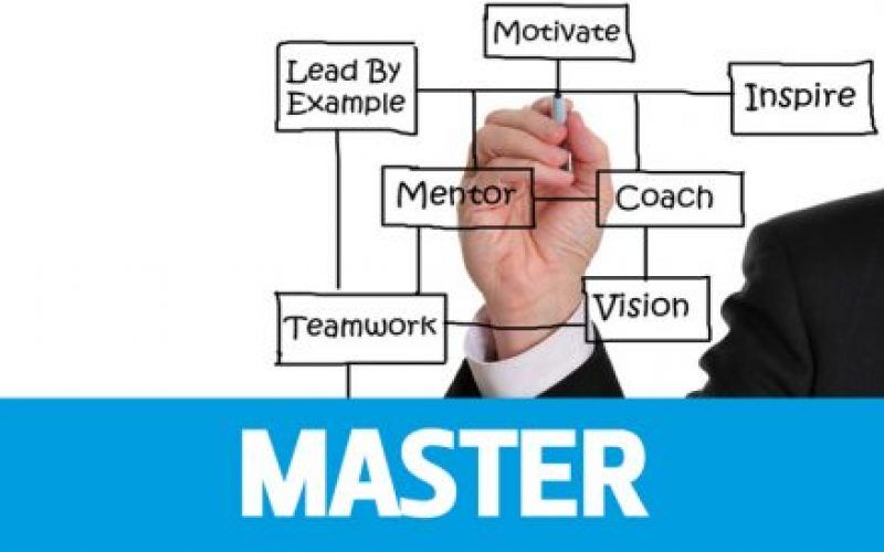 Master Executive Coaching